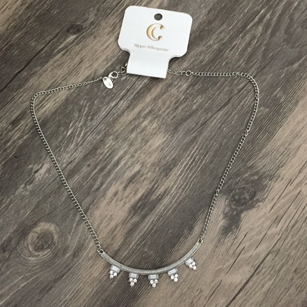 Charming Charlie Vintage Inspired Silver Necklace